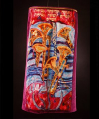 torah cover